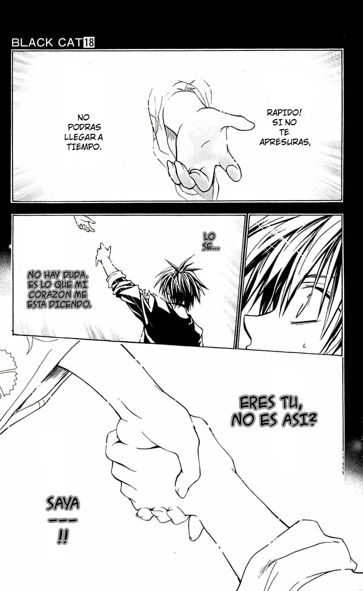 Read Black Cat (es) Manga Online