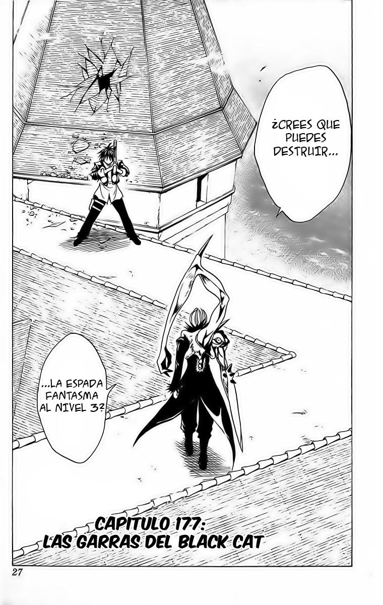 Read Black Cat (es) Manga Online