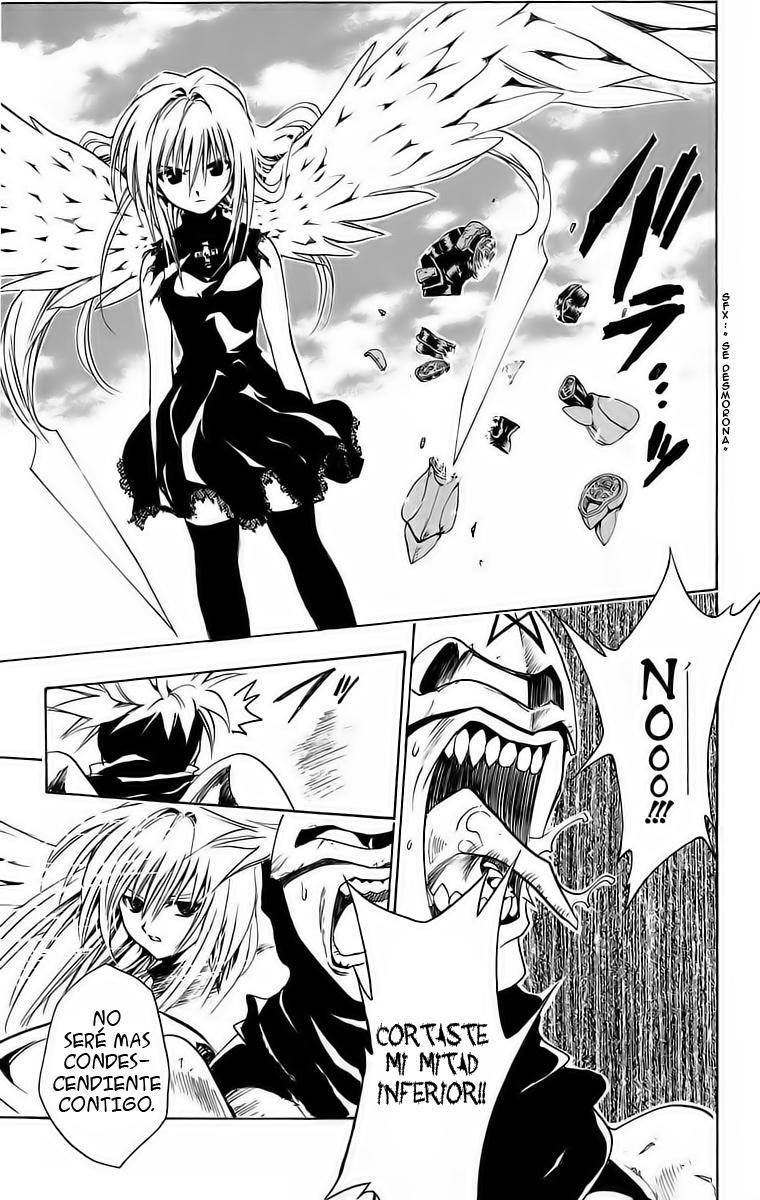 Read Black Cat (es) Manga Online