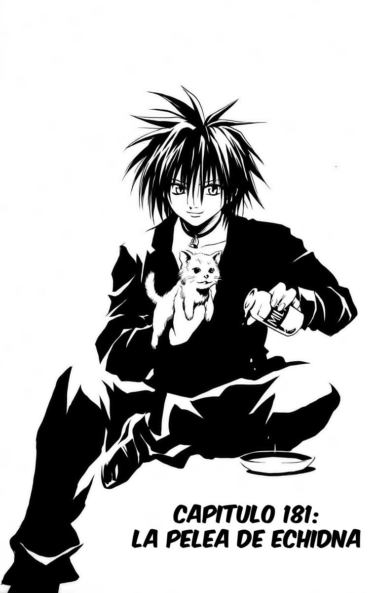 Read Black Cat (es) Manga Online