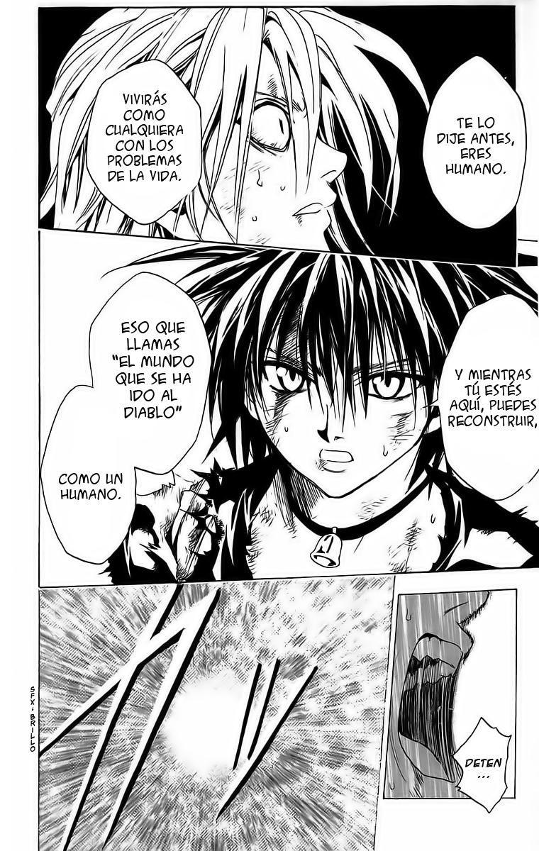 Read Black Cat (es) Manga Online