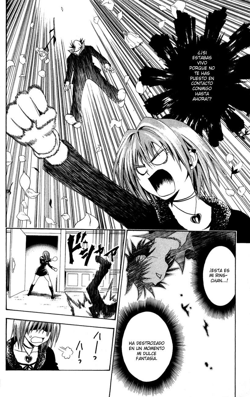 Read Black Cat (es) Manga Online