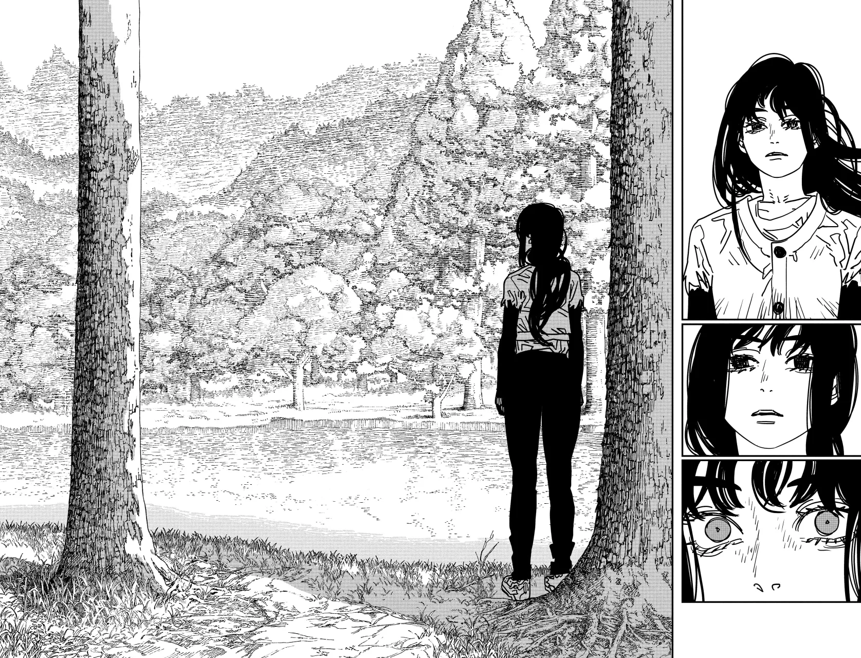 Read Chainsaw Man (es) Manga Online