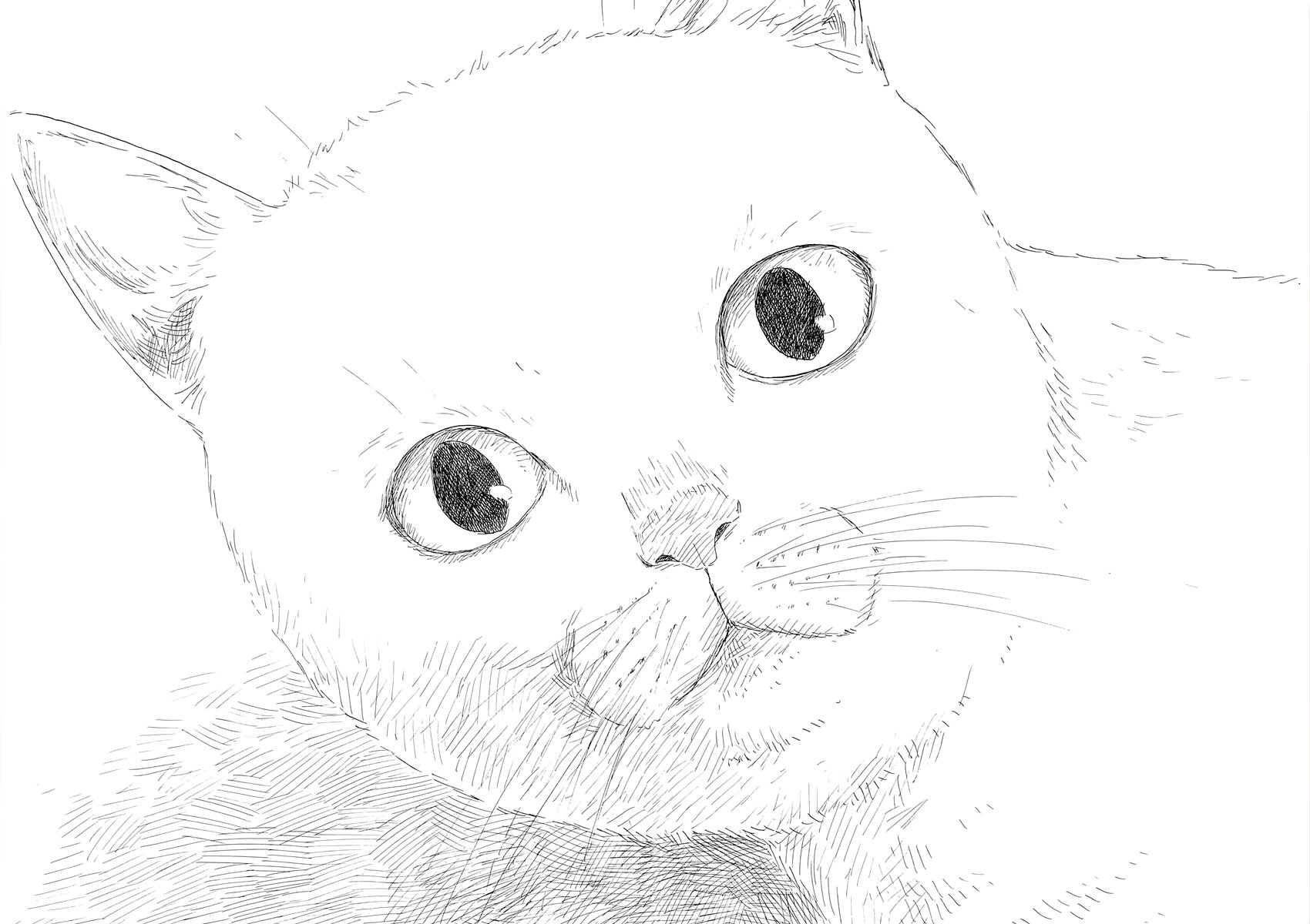 Read Chi no Wadachi (es) Manga Online