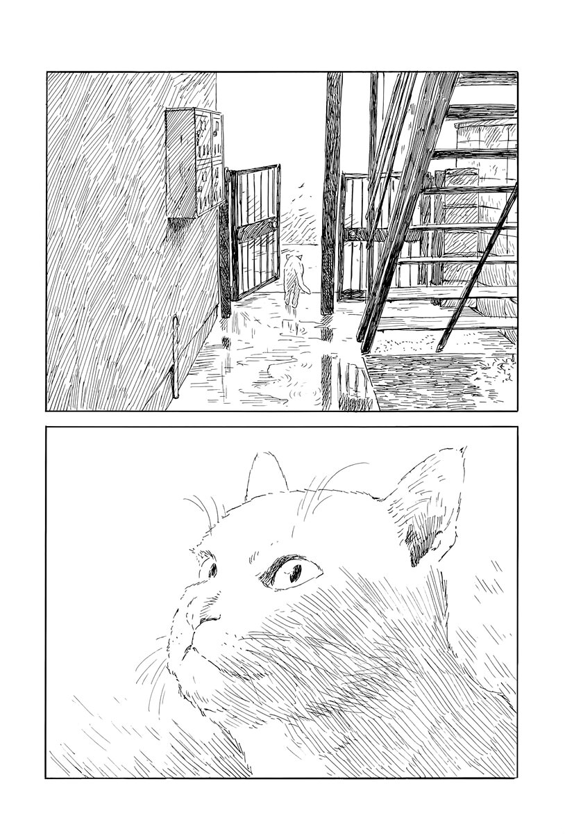 Read Chi no Wadachi (es) Manga Online