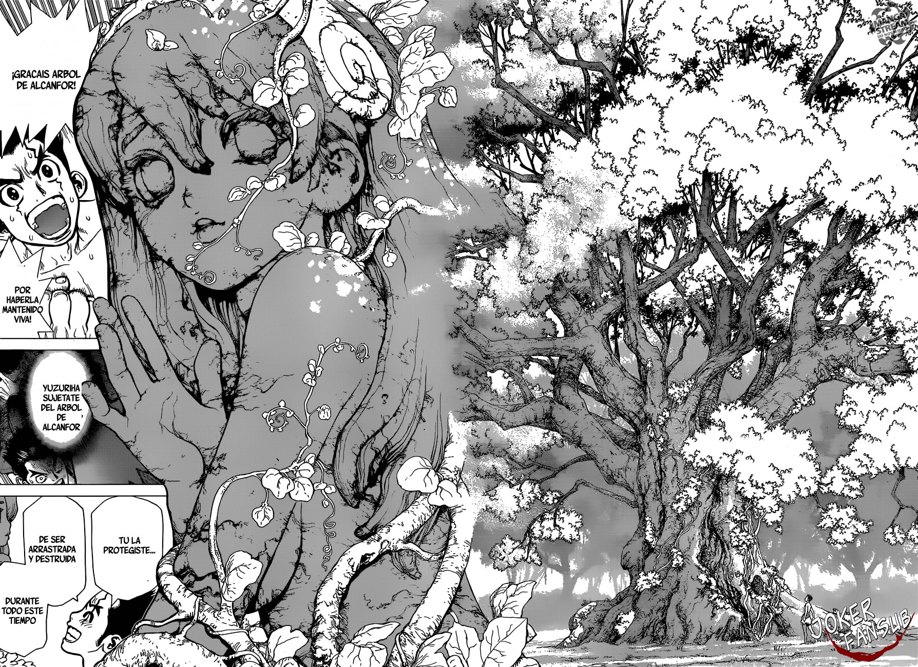 Read Dr. Stone (es) Manga Online