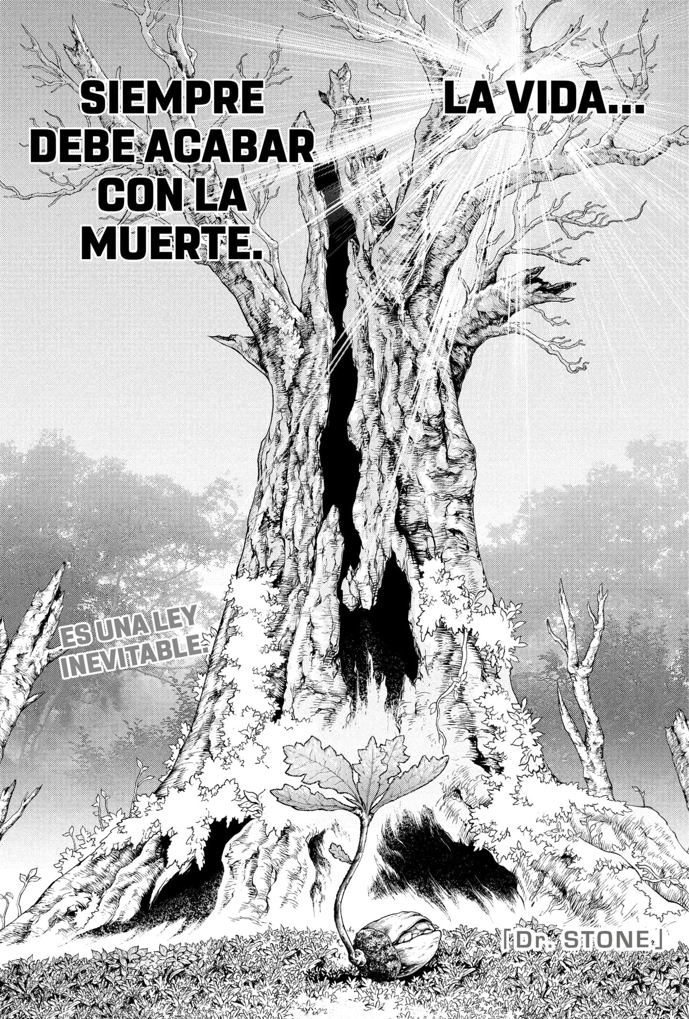 Read Dr. Stone (es) Manga Online