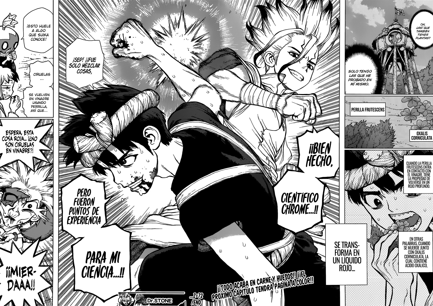 Read Dr. Stone (es) Manga Online