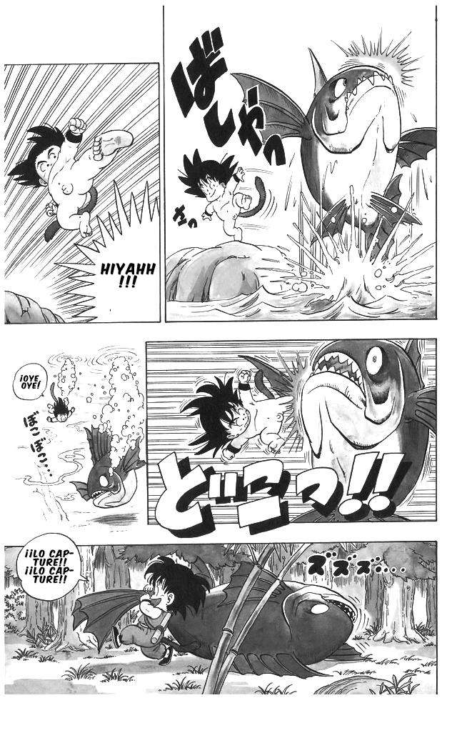 Read Dragon Ball (es) Manga Online