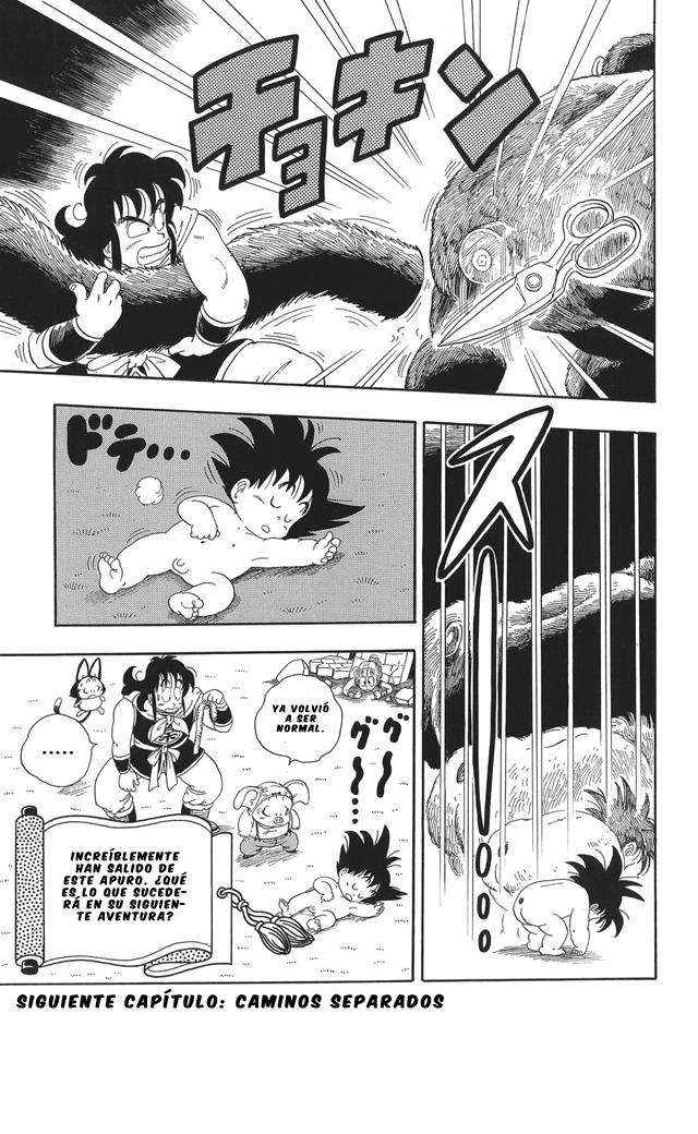 Read Dragon Ball (es) Manga Online