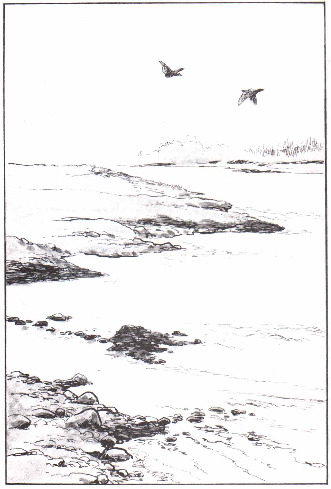 Read El lobo solitario y su cachorro (es) Manga Online