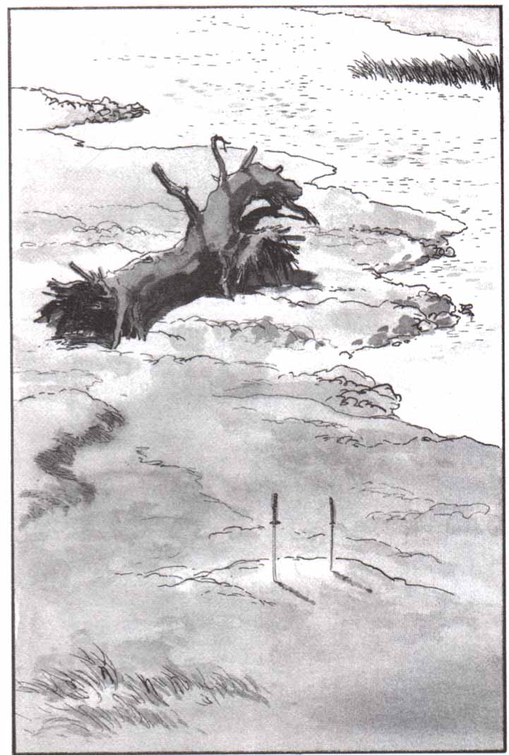 Read El lobo solitario y su cachorro (es) Manga Online