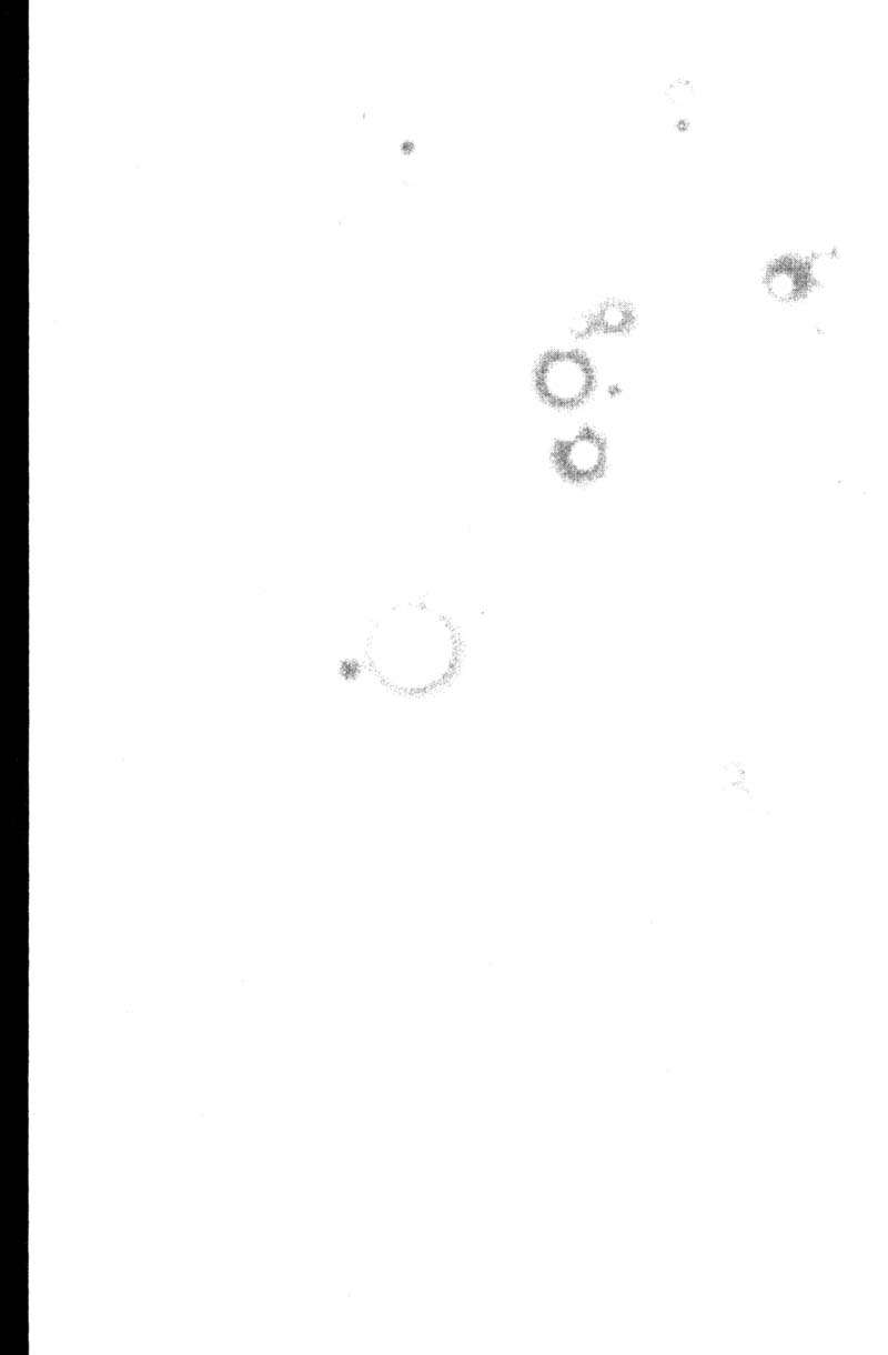 Read GTO (es) Manga Online