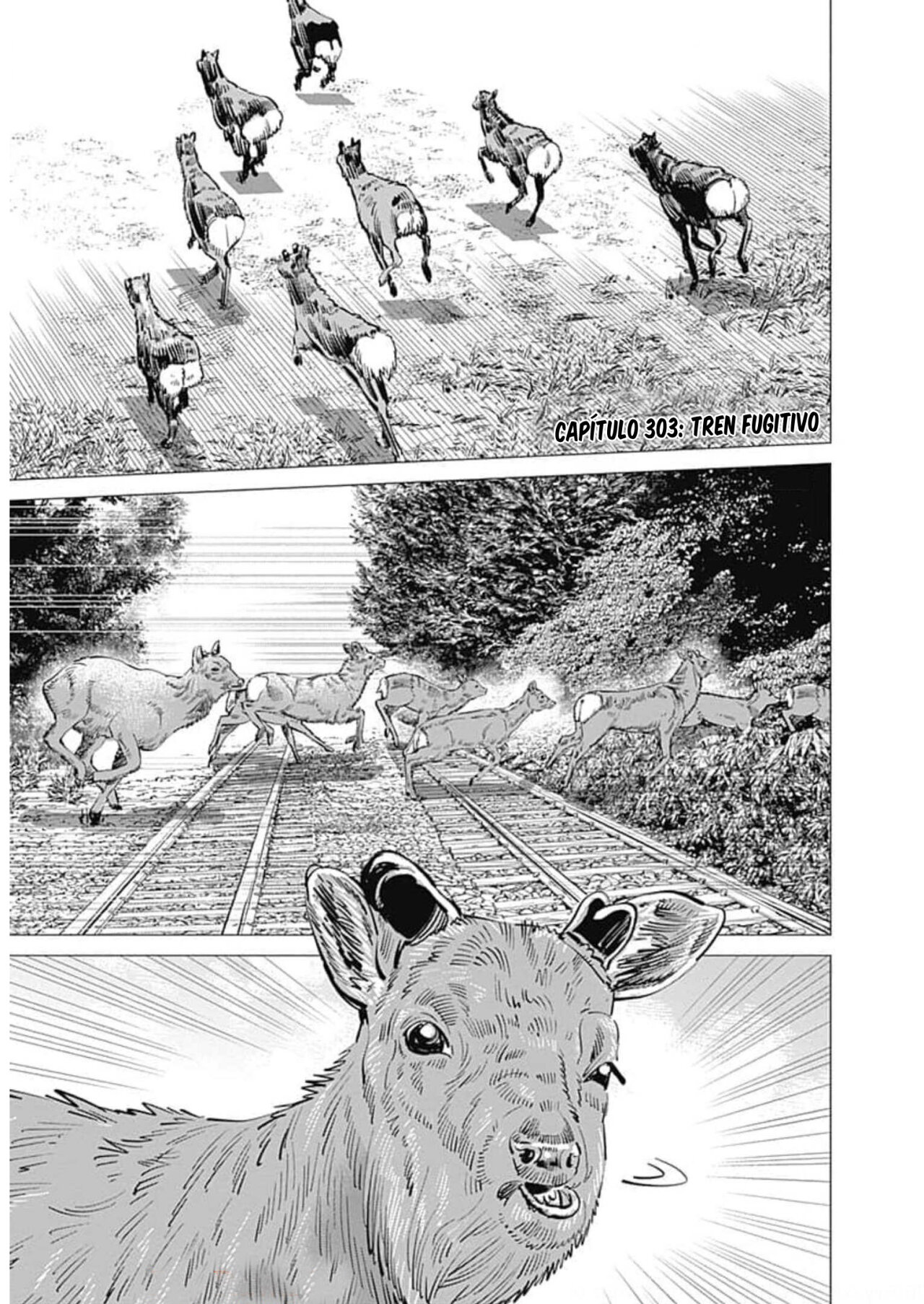 Read Golden Kamuy (es) Manga Online