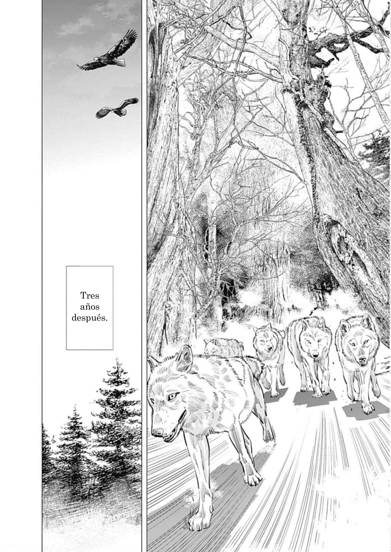 Read Golden Kamuy (es) Manga Online