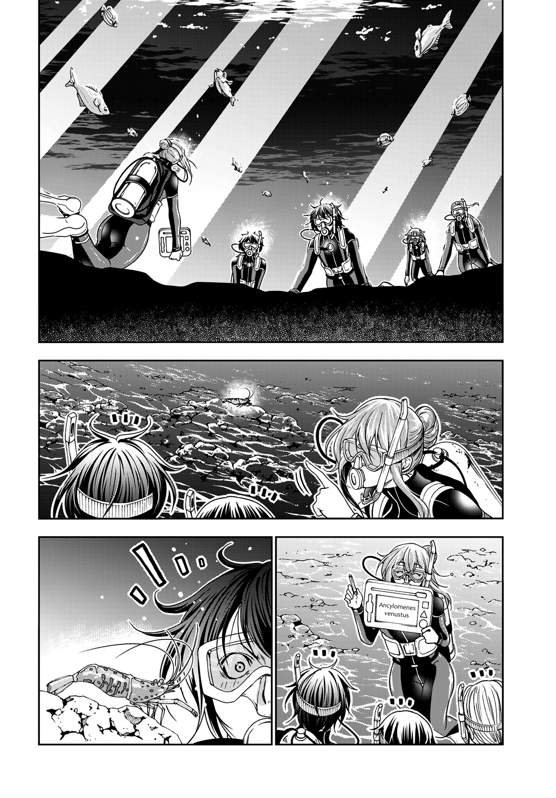 Read Grand Blue (es) Manga Online