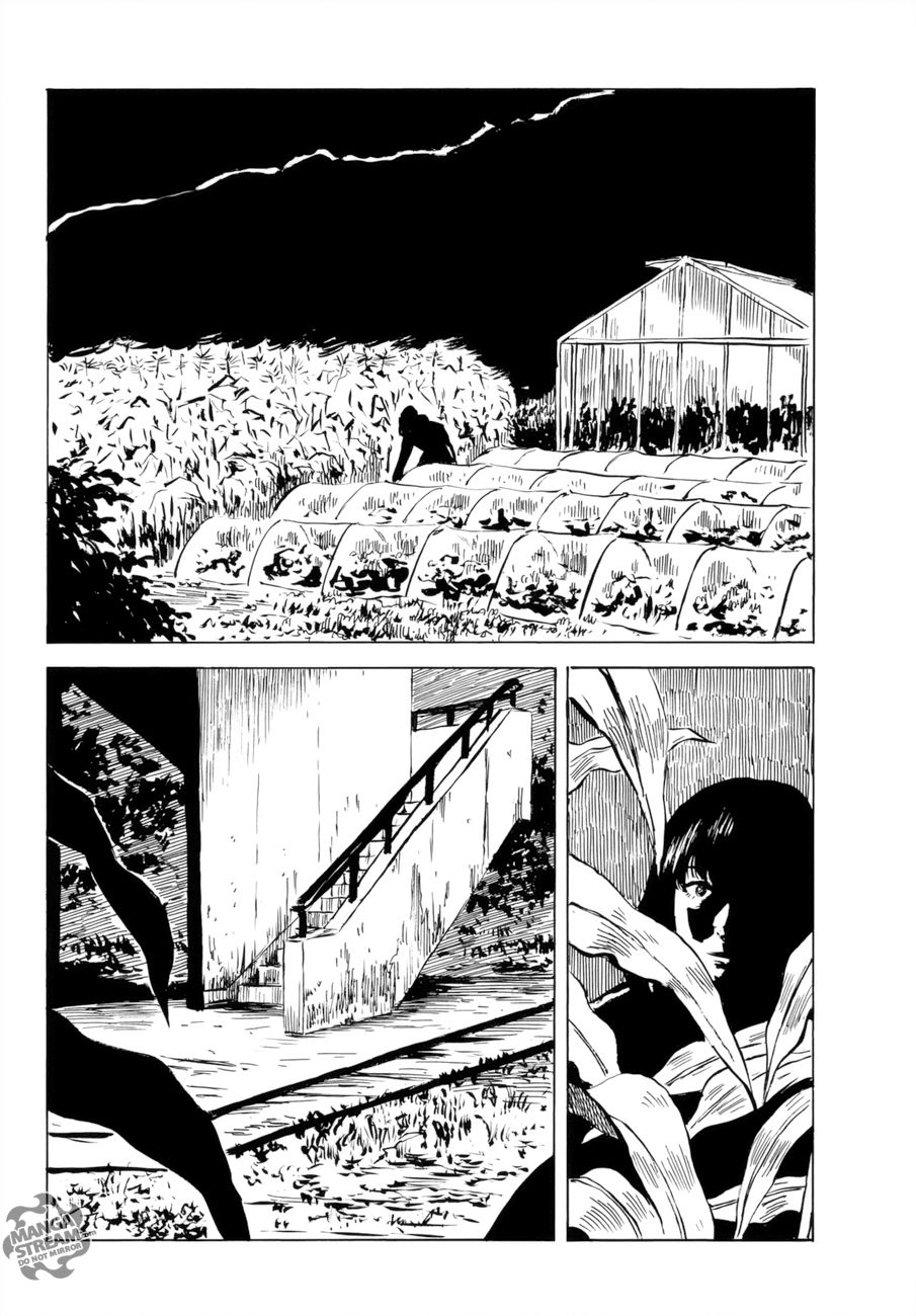 Read Happiness (es) Manga Online