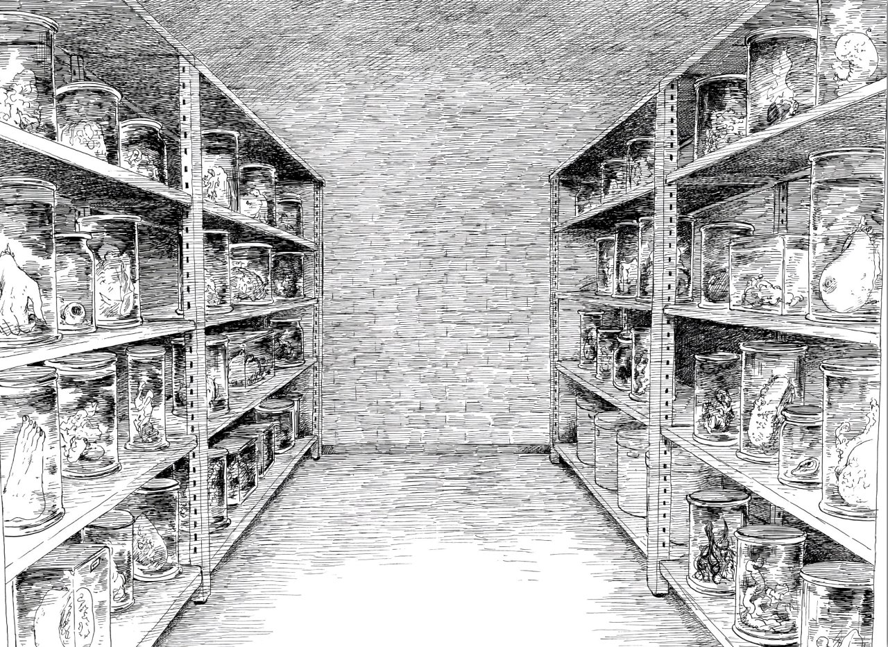 Read Happiness (es) Manga Online