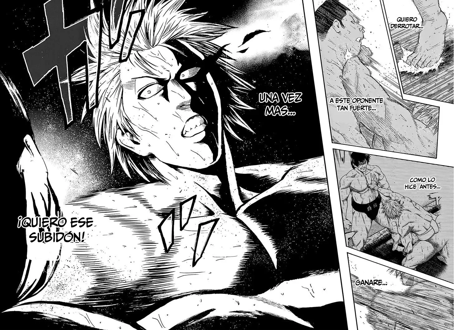 Read Hinomaru Zumou (es) Manga Online