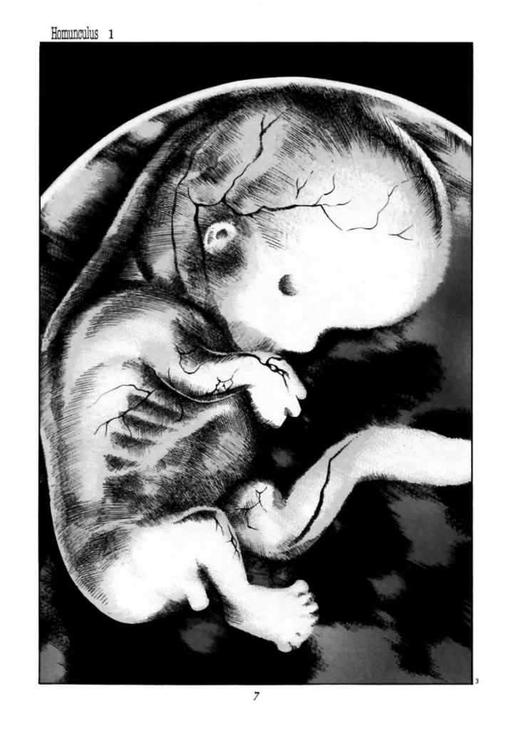 Read Homunculus (es) Manga Online