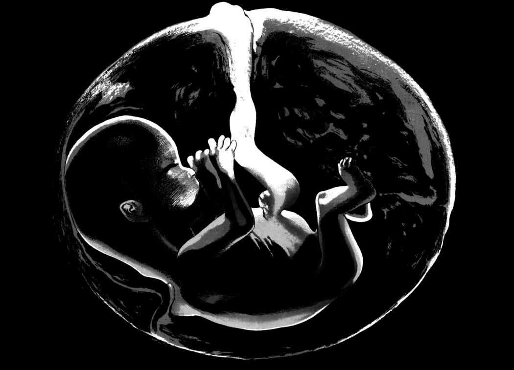 Read Homunculus (es) Manga Online