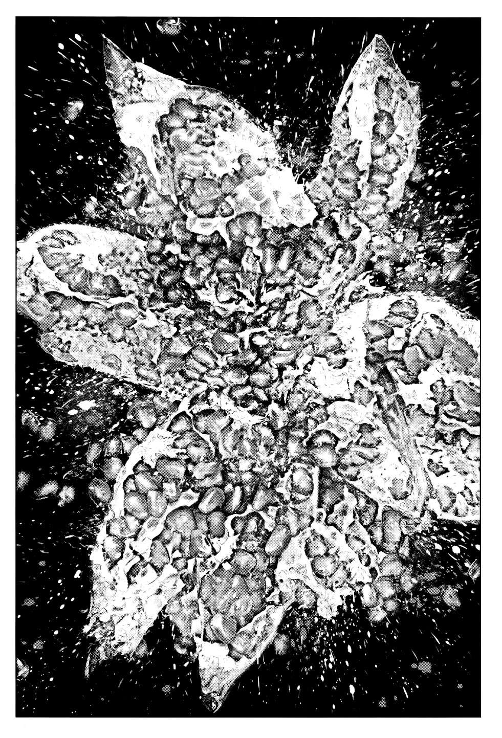 Read Innocent (es) Manga Online