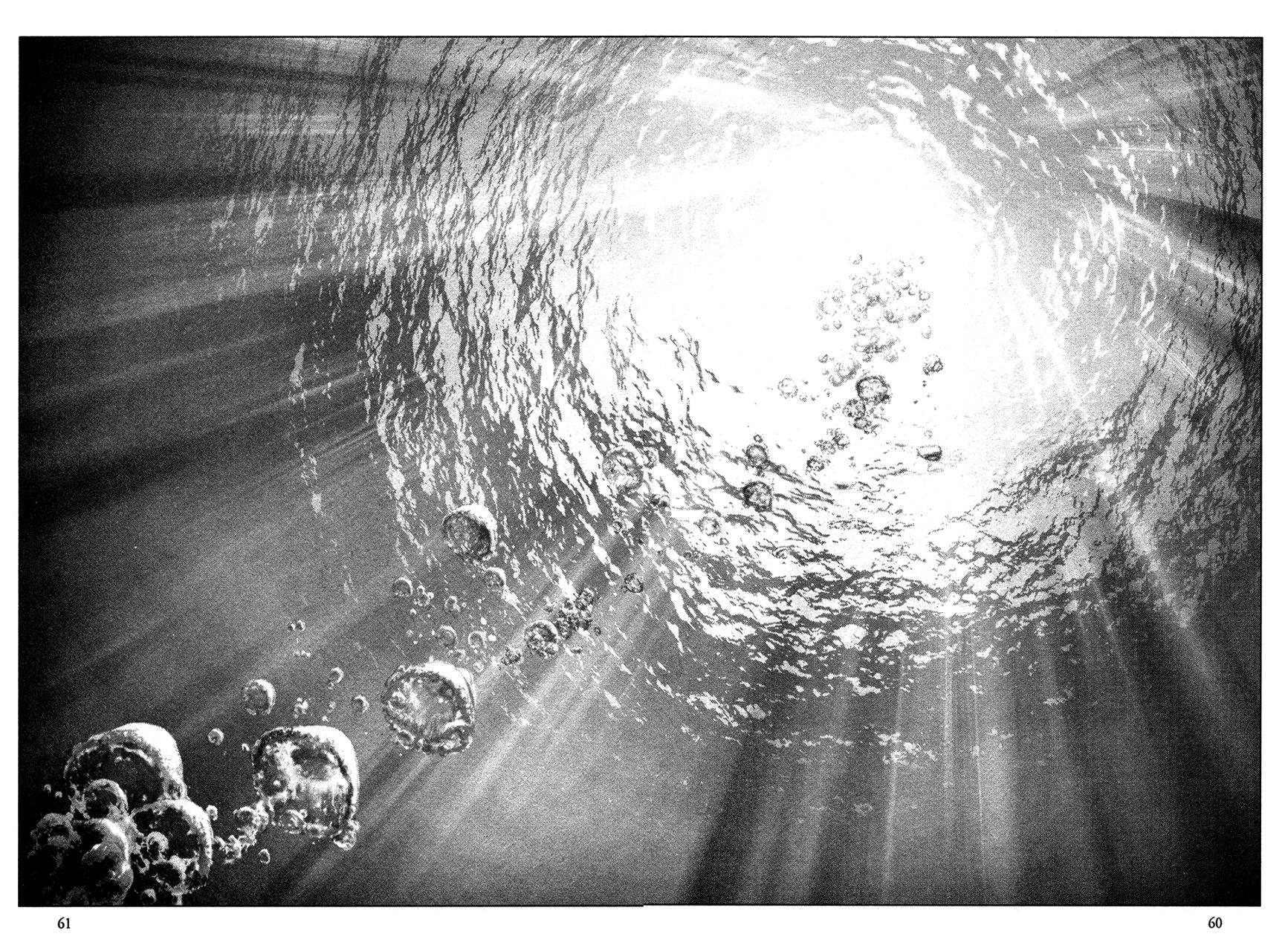 Read Innocent Rouge (es) Manga Online