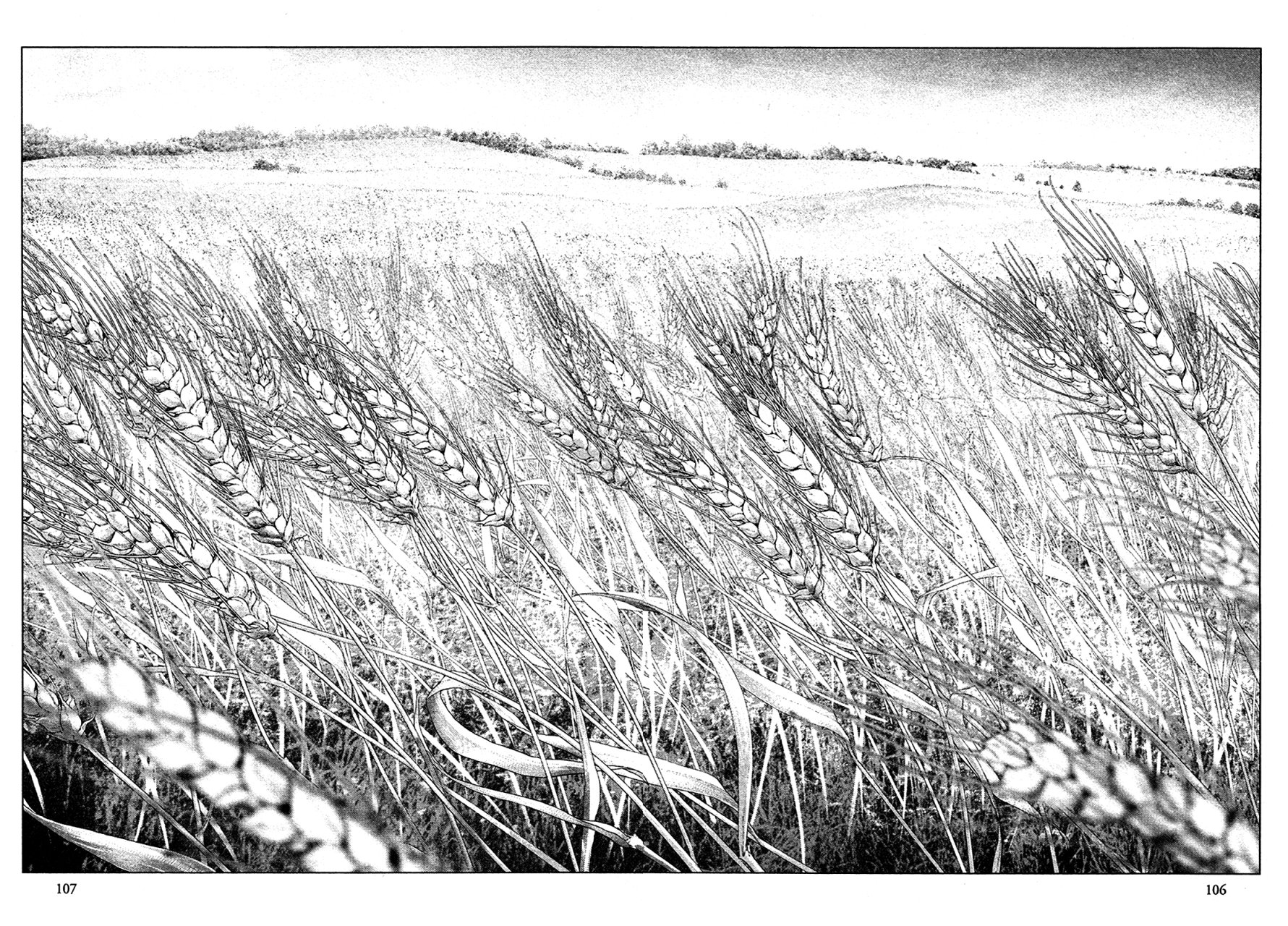 Read Innocent Rouge (es) Manga Online