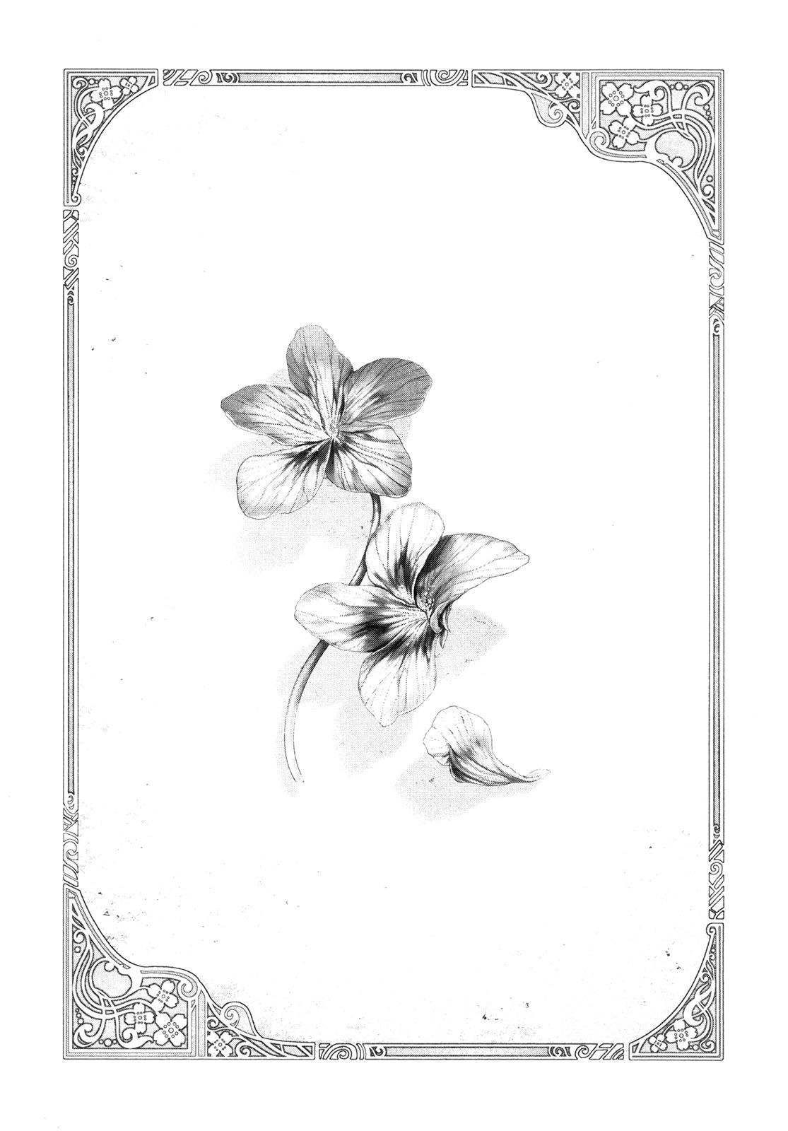 Read Innocent Rouge (es) Manga Online