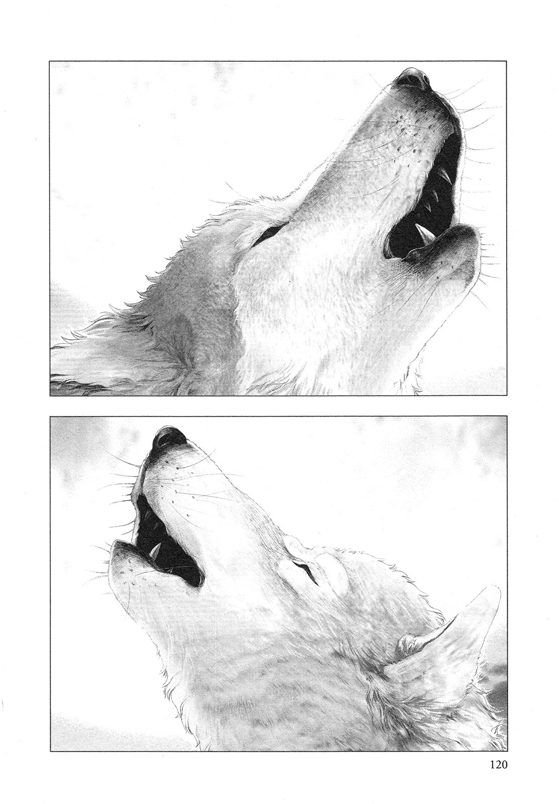 Read Innocent Rouge (es) Manga Online