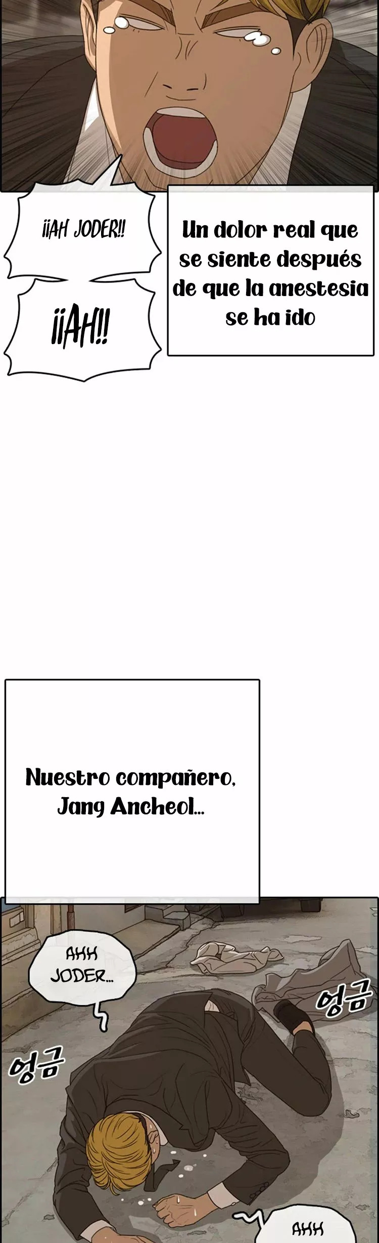 Read Insaeng Jonmang (es) Manga Online