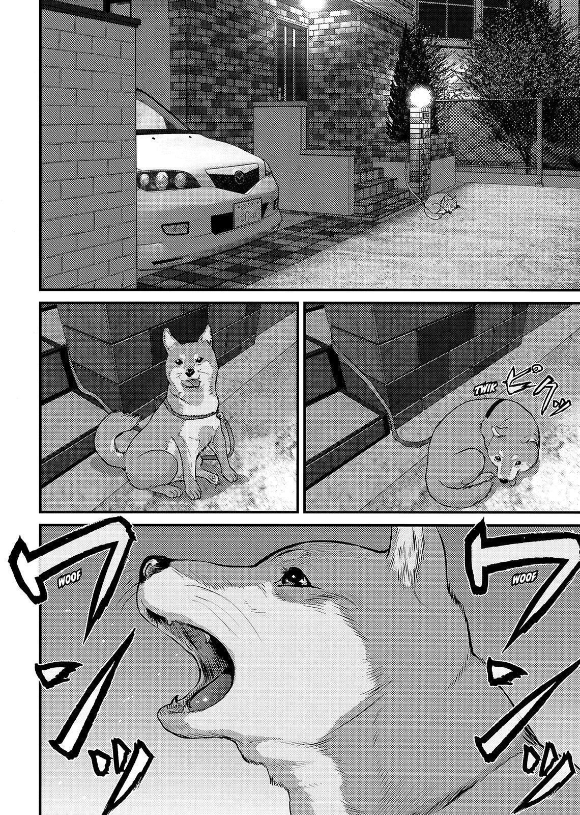 Read Inuyashiki (es) Manga Online