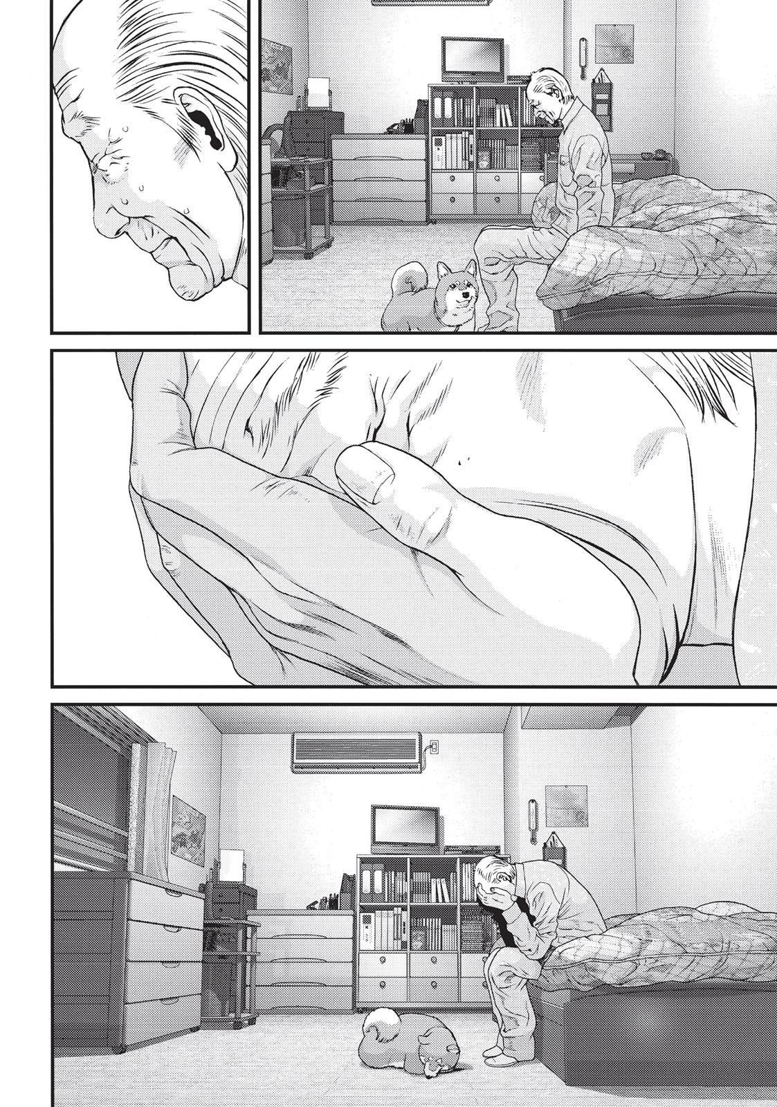 Read Inuyashiki (es) Manga Online