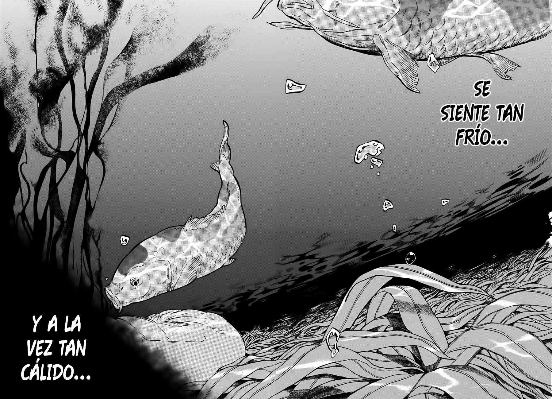 Read Koe no Katachi (es) Manga Online