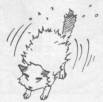 Read Naruto (es) Manga Online