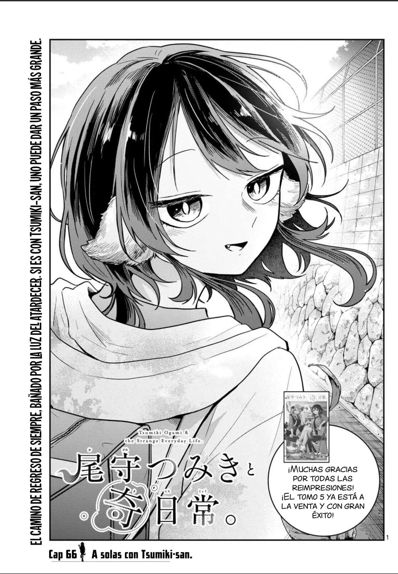 Read Ogami Tsumiki to Kinichijou (es) Manga Online