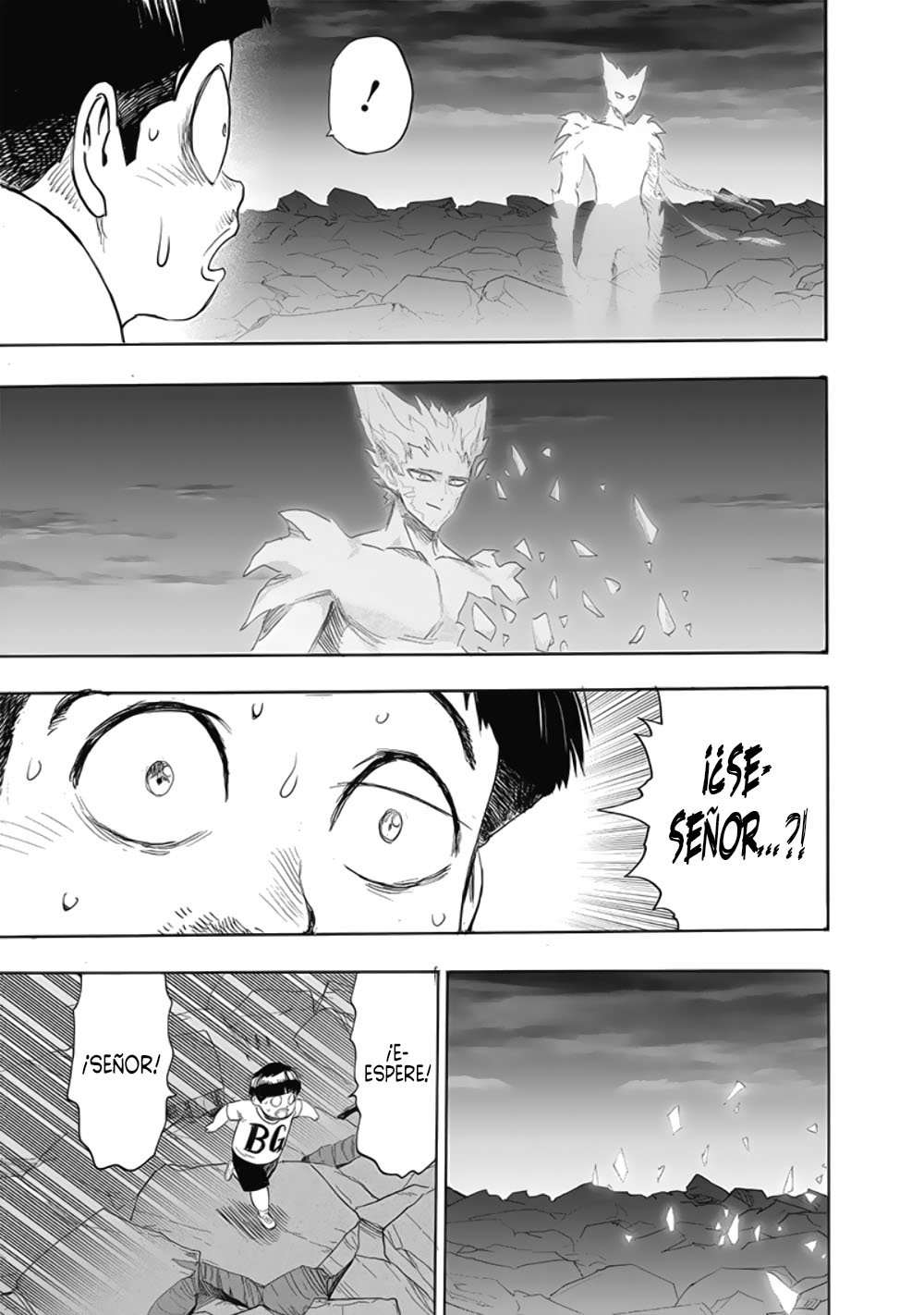 Read One Punch-Man (es) Manga Online