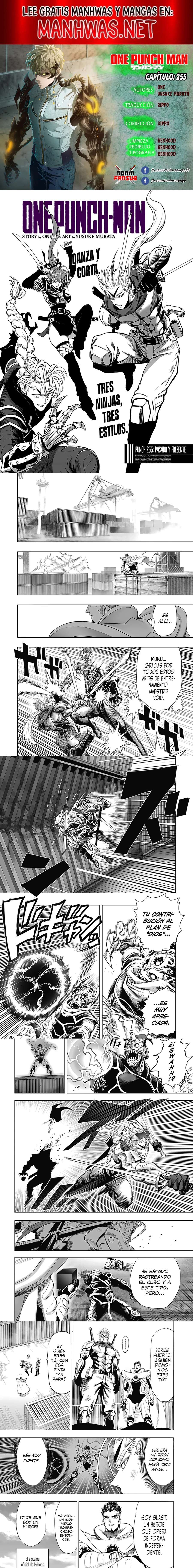 Read One Punch-Man (es) Manga Online