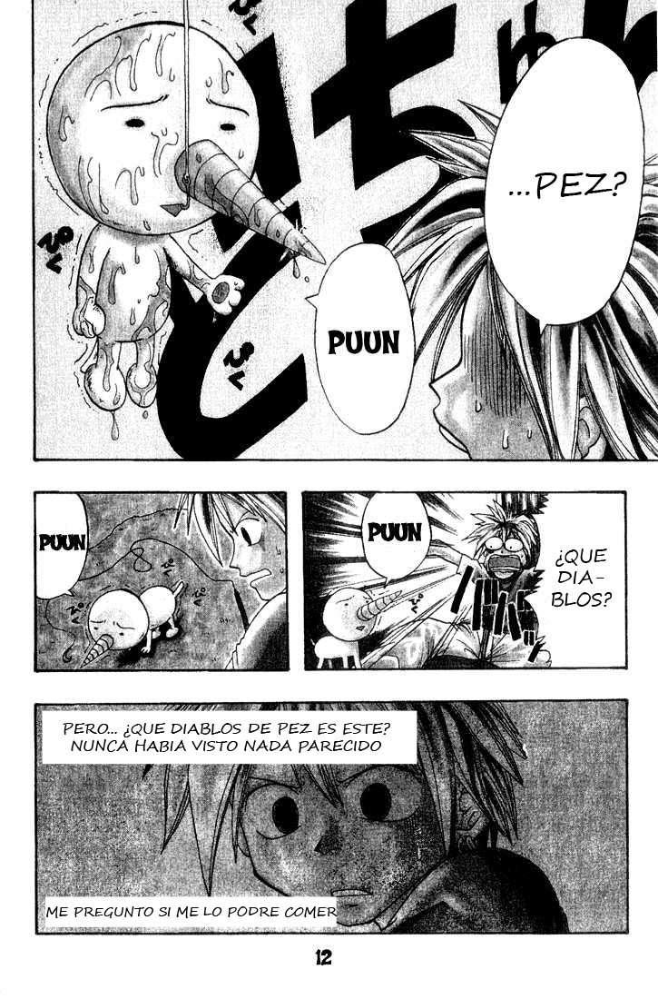 Read Rave Master (es) Manga Online