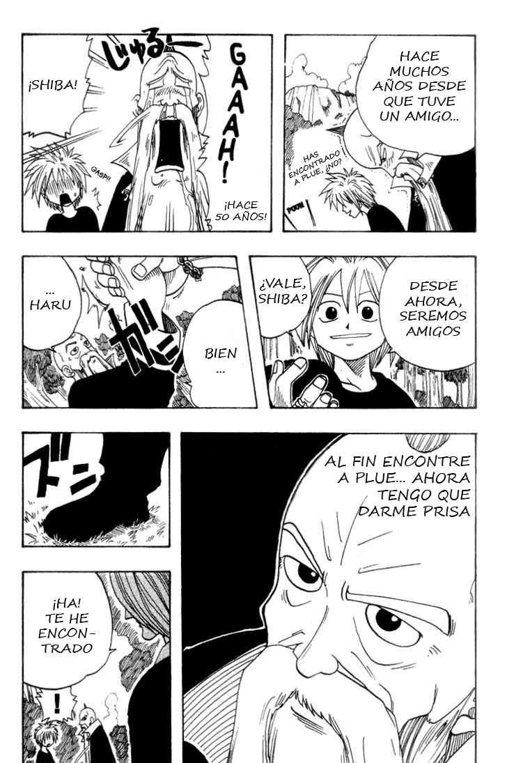 Read Rave Master (es) Manga Online