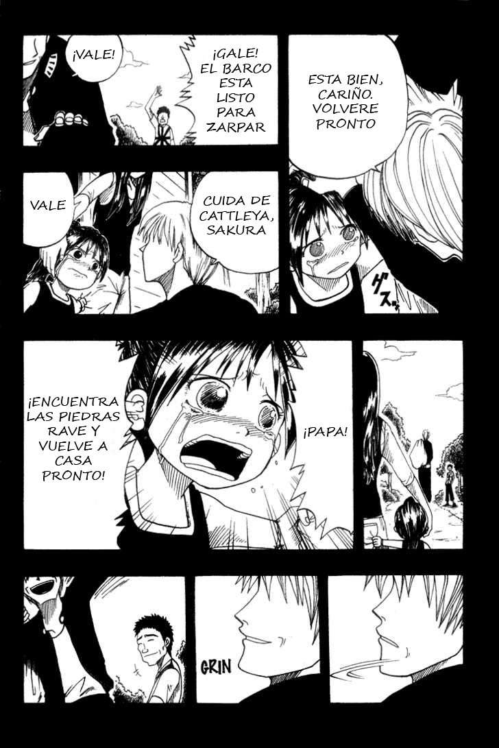 Read Rave Master (es) Manga Online