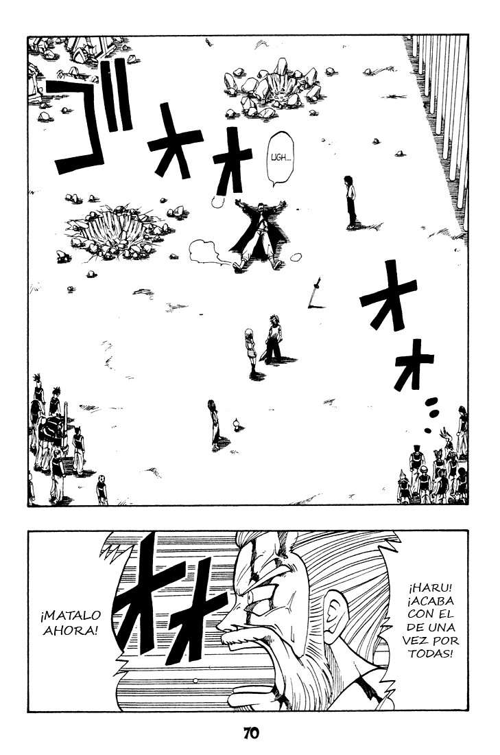 Read Rave Master (es) Manga Online