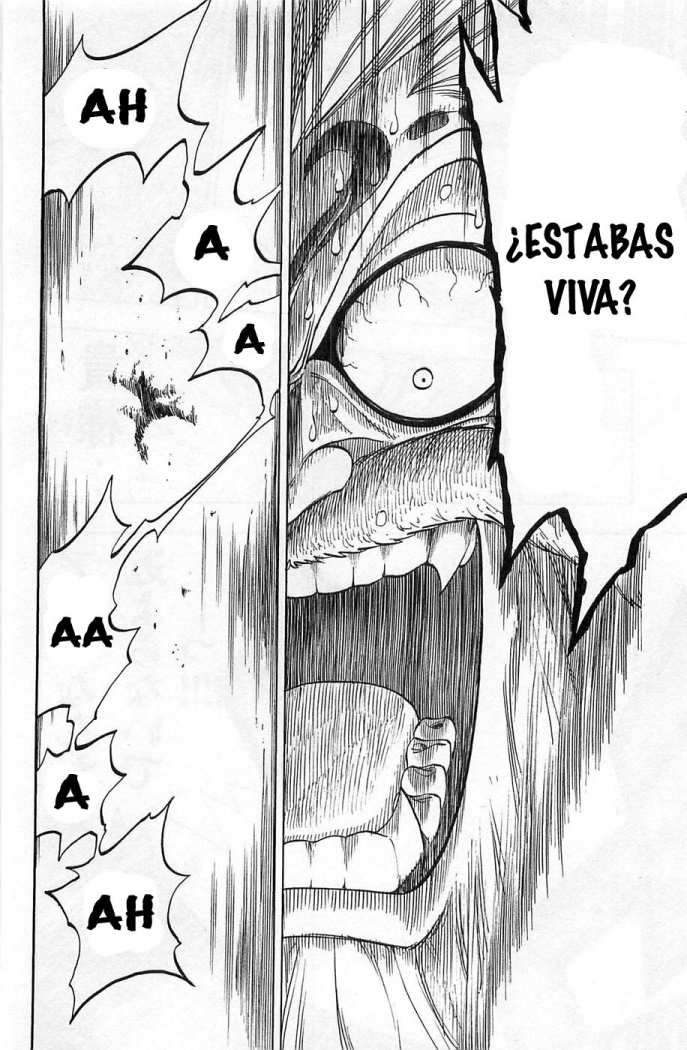 Read Rave Master (es) Manga Online
