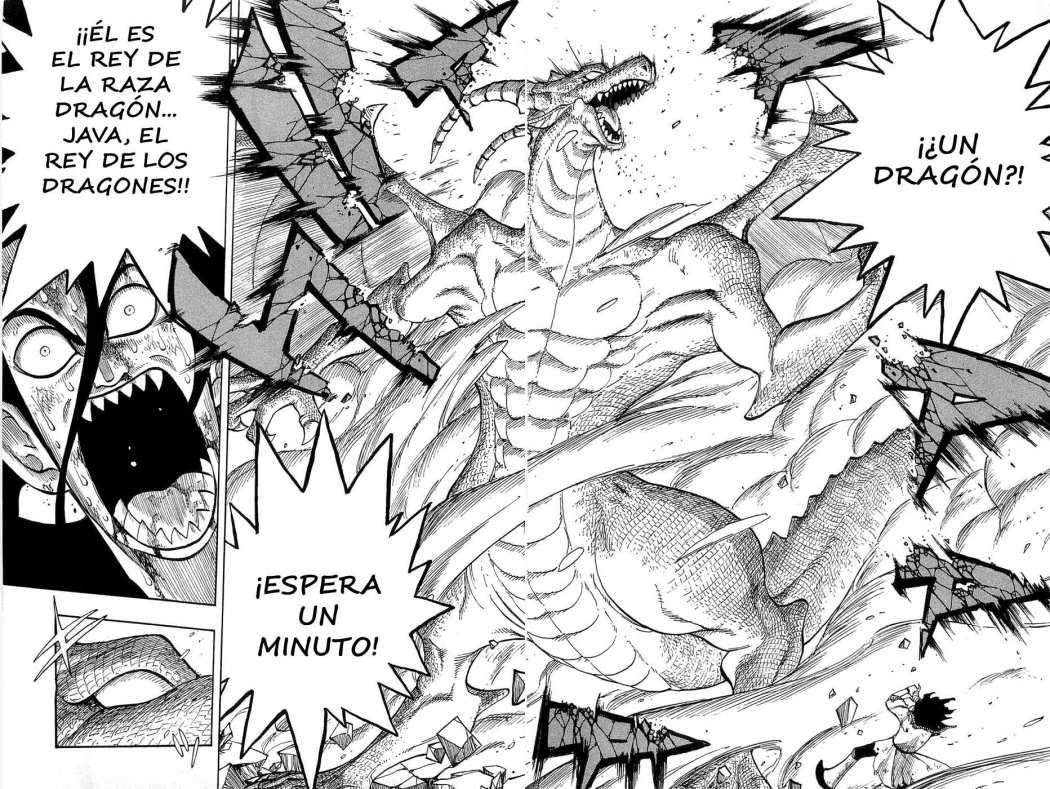 Read Rave Master (es) Manga Online