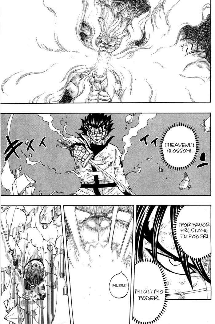 Read Rave Master (es) Manga Online