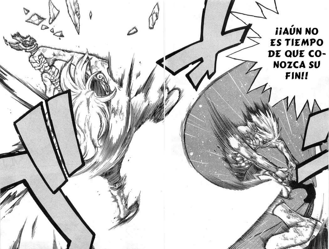 Read Rave Master (es) Manga Online