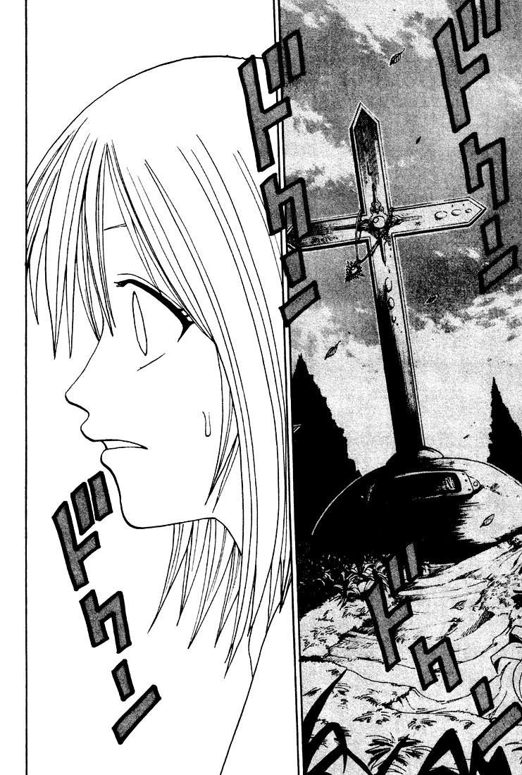 Read Rave Master (es) Manga Online