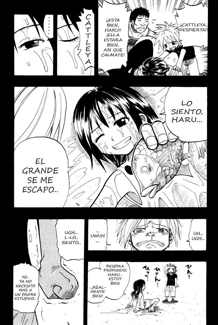 Read Rave Master (es) Manga Online