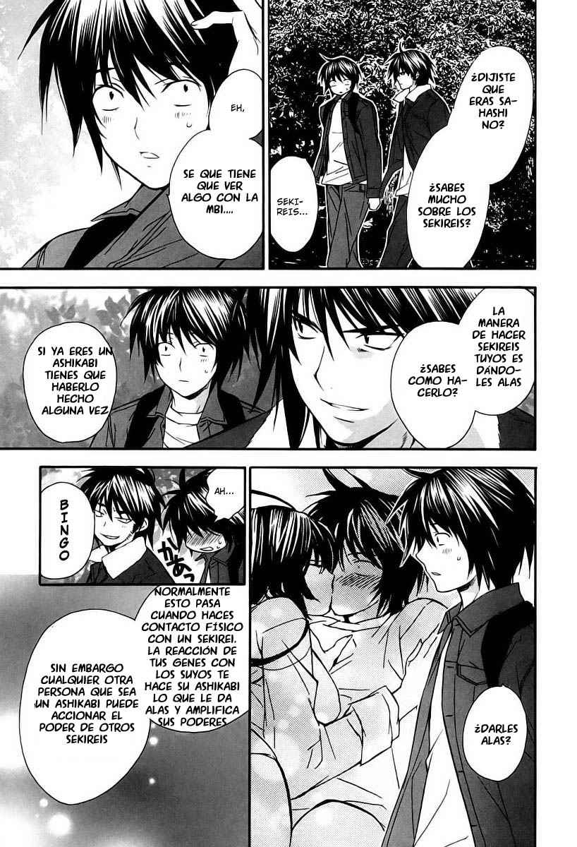 Read Sekirei (es) Manga Online