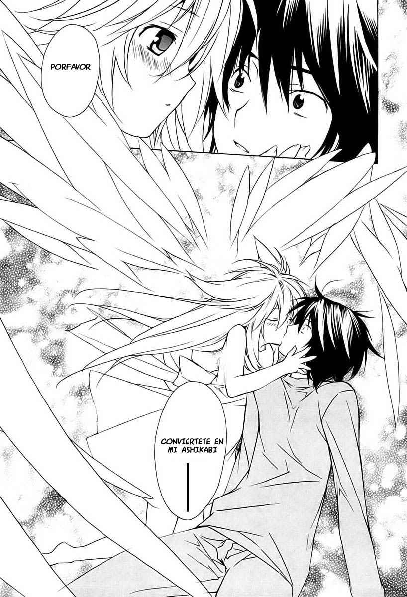 Read Sekirei (es) Manga Online